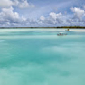 Meet your Posher, Donald